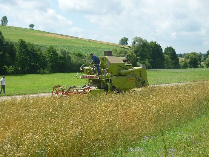 spgm-1.4.4/gal/Gruenkernsaison_2012/P1070159.jpg