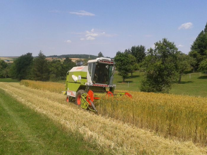 spgm-1.4.4/gal/Gruenkernsaison_2017/G14.jpg