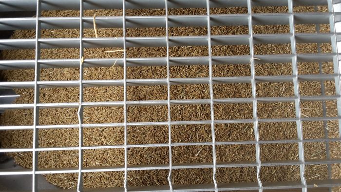 spgm-1.4.4/gal/Gruenkernsaison_2017/G48.jpg